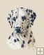 Dalmatian Dalmatian